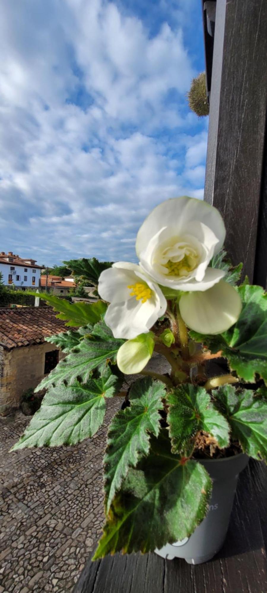 Casa Del Lavadero Daire Santillana del Mar Dış mekan fotoğraf